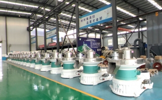 新手開顆粒廠，該選小型還是大型木屑顆粒機？